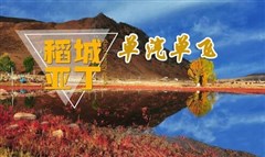 稻城亞丁、新都橋純玩五日游-單汽單飛